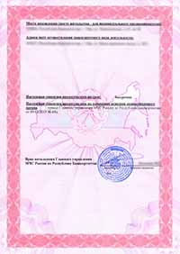 Образец лицензии МЧС в Петербурге
